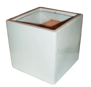 ARABSKA DONICZKA 15cm MIX 2