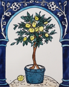 KAFLA 037. DRZEWKO CYTRUSOWE