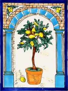 KAFLA 053. DRZEWKO CYTRUSOWE