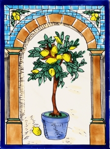 KAFLA 070. DRZEWKO CYTRUSOWE