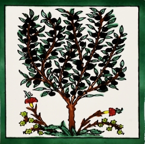 KAFLA 084. DRZEWKO OLIWNE