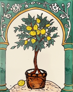 KAFLA 009. DRZEWKO CYTRUSOWE