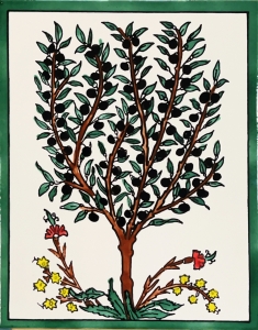 KAFLA 006. DRZEWKO OLIWNE