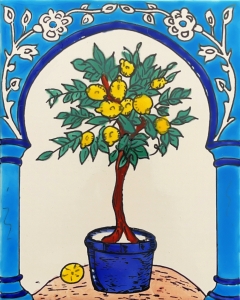 KAFLA 022. DRZEWKO CYTRUSOWE