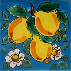 KAFLA 097. CYTRUSY