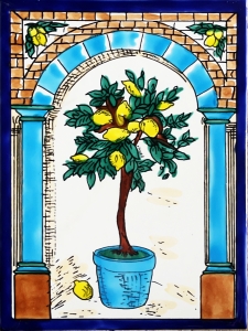 KAFLA 077. DRZEWKO CYTRUSOWE