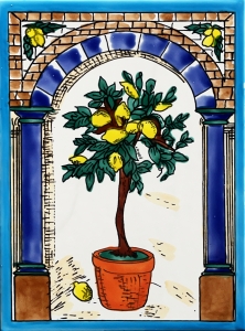KAFLA 078. DRZEWKO CYTRUSOWE
