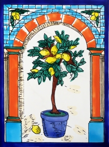 KAFLA 079. DRZEWKO CYTRUSOWE